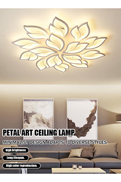 Generic Simple, modern and elegant household LED ceiling lamp with creative acrylic design