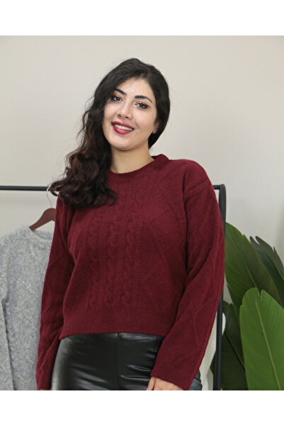 Femella Women Fashion ملابس تريكو فاخرة ذات ياقة دائرية ونقشة محبوكة