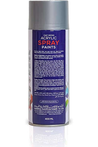 NATIONAL PAINTS Fast Drying Acrylic Spray Paint - Silver Chrome 505