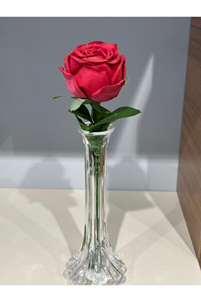 Green Eye KARANFİLLİK DAMLA DESEN 25cmX9cm VA.KRL.003