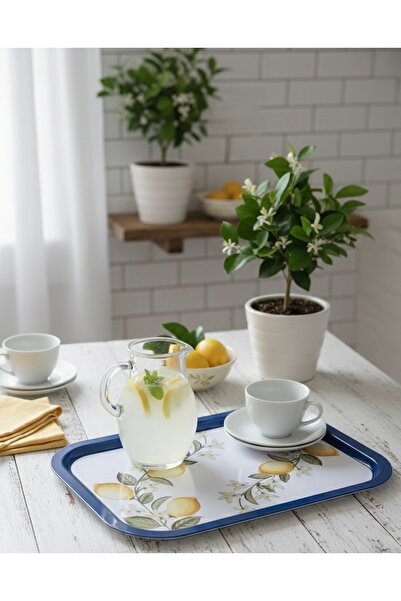 CHEMDLE Limon Desenli Dekoratif Tepsi – Mavi Çerçeveli Servis & Sunum Tepsisi...