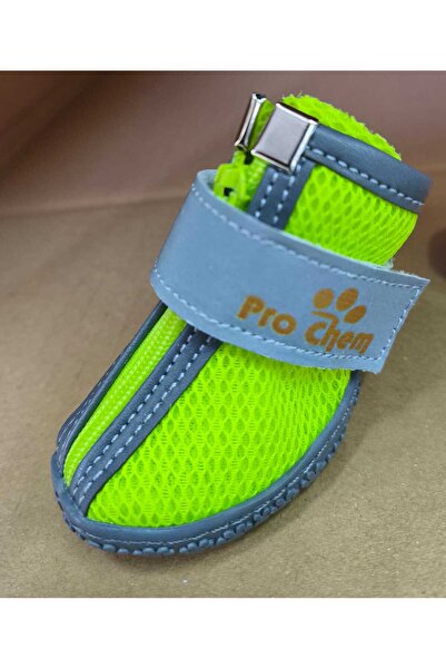 Pro Chem Shoes for Dog