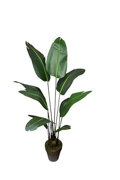 ŞA-DAL STORE Yapay Ağaç Starliçe Islak Dokulu 10Büyük Yapraklı 160 cm