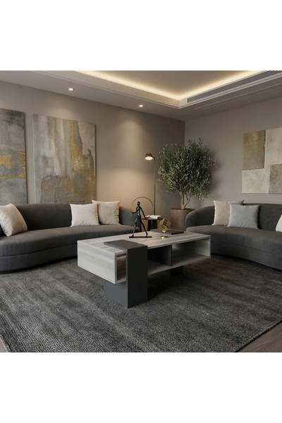 Stylish Home طاولة وسط مودرن باللون الرمادي الفاتح والغامق – تصميم عصري مع مساحة تخزين عملية - CT63-AR