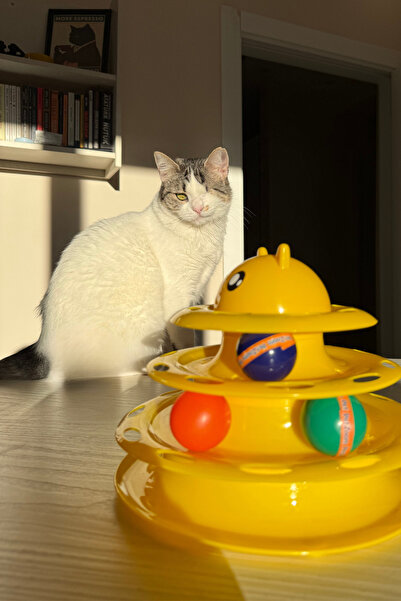 3 Katlı Toplu Kedi Oyun Kulesi -Turntable Cat Toy