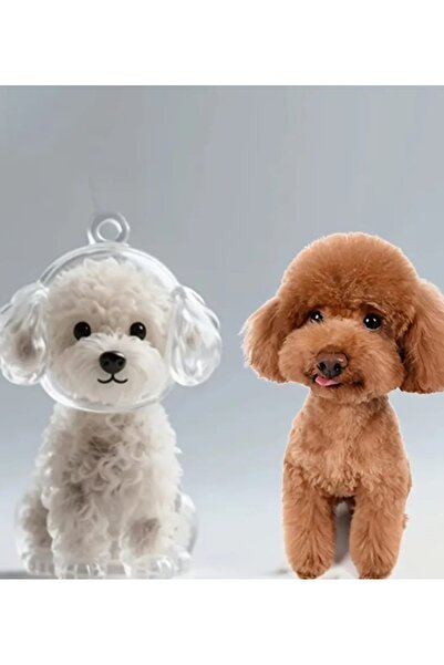 Yaratıcı sanatlar atölyesi Capsulă transparentă de depozitare a părului de câ...