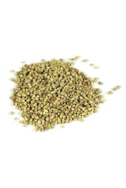 Medite Organik حبوب بيلي توب كيك كت 100 جرام