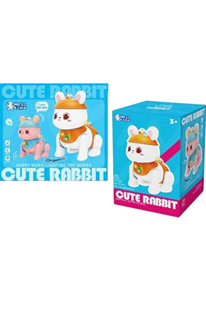 Toybox Musical Rabbit Early Education Intellectual Development Toy With Sound...