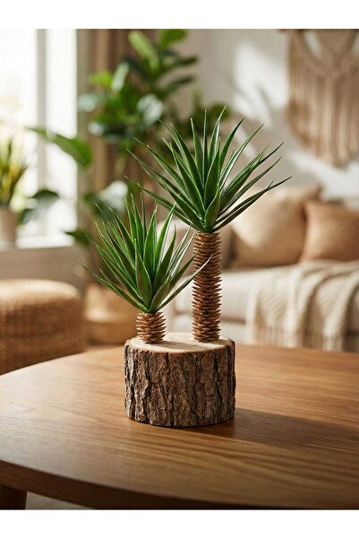 Lineva Doğal Kütükte Yapay Aloe Vera – Dekoratif Masa & Ev & Ofis Bitkisi
