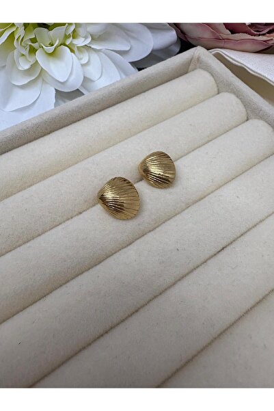 MY NUCA Oyster Design Convex Gold Steel Earrings