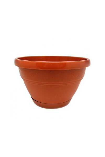 Pom Fruct Ghiveci de plastic pentru lalele 24 cm