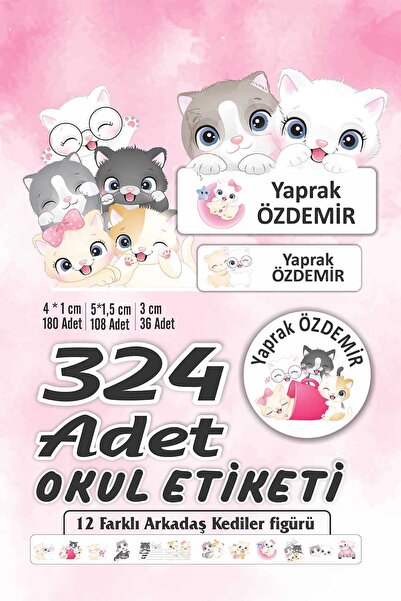 Vice isim Baskılı Defter Kalem Okul Etiketi (324 Adet Arkadaş Kediler Temalı ...