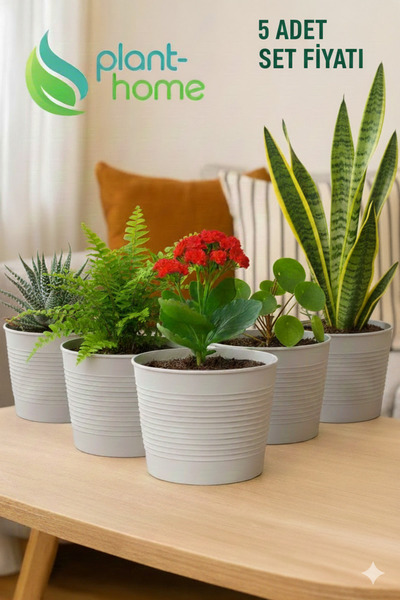 Plant Home Power Mix 1,8 Litre Tabaksız Kırılmaz Plastik Saksı – 5 Adet Set |...