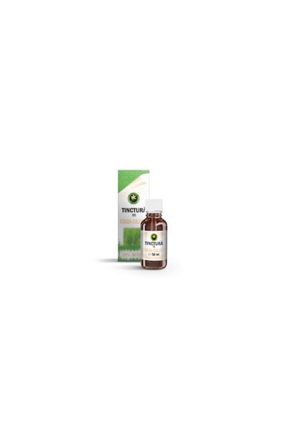 HYPERICUM Tinctură de coada-calului, 50 ml