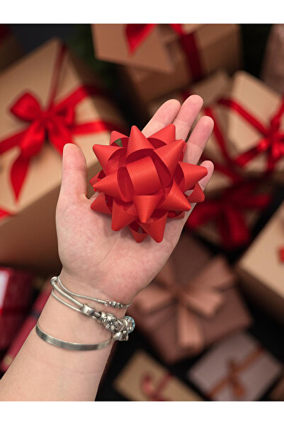 STAR PENNSYLVANIA NEW FLOWER Kırmızı Matt Fiyonk Yıldız Süs Hediye Paketi Süsü 10lu set - Rafya Yapışkanlı 9cm