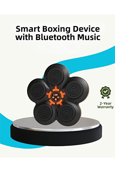 Kanonik Education Home Type Smart Boxing Wall Panel Music Bluetooth Reflex Enhancement Device