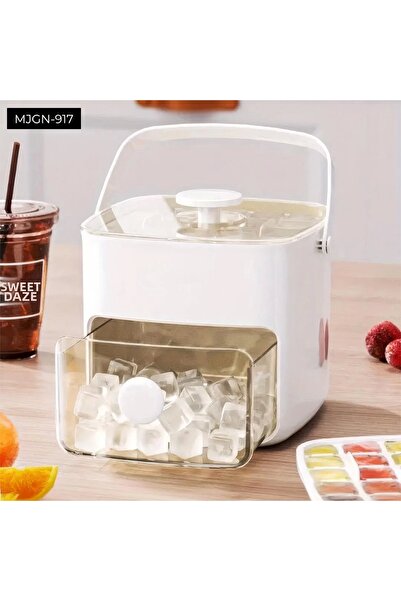 Lisinya قالب ثلج وصندوق تخزين - TYGOO