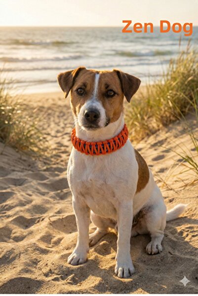 ZENDOG طوق الكلاب المتين المصنوع من حبل باراكورد من ZenLeash - تصميم محبوك قو...