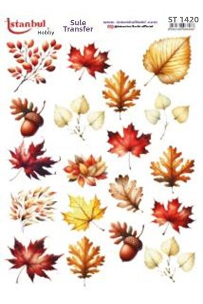 İstanbul Hobi Water Transfer Paper 25X35Cm St-1520