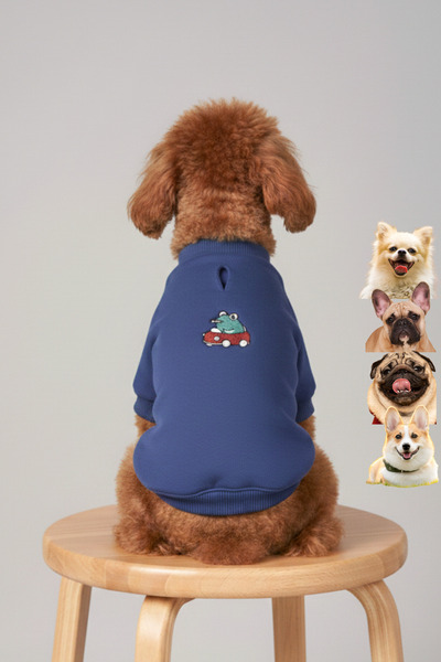 salya store Dog Clothing, Speed Frog, Small and Medium Breed Dog Clothing