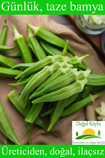 Doğal Köylü Taze Bamya 1KG - Üreticiden, Doğal, İlaçsız
