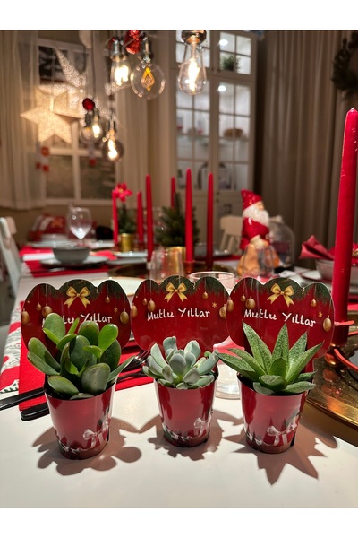 FİDAN PAZARI 20 Adet Yılbaşı Özel Mix Sukulent