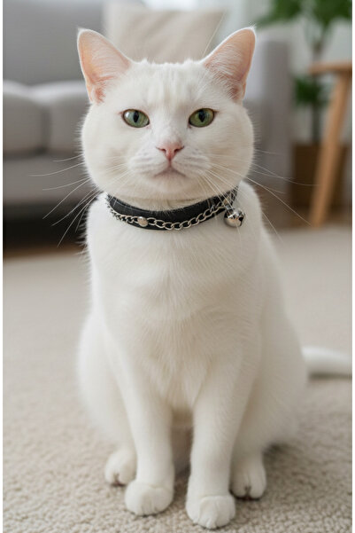 balkonda Cat Collar Leash Adjustable Genuine Leather Black Chain Combination with Bell