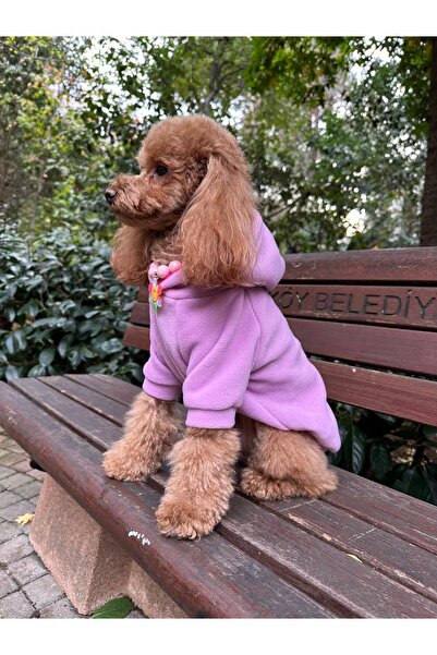 PATİBÖR Lilac Hooded Cat Dog Sweathirt - Cat Dog Outfit