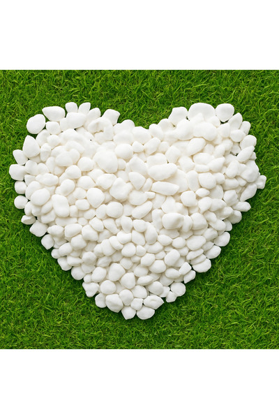 BAHÇE UZMANI Beyaz Dolomit Taş 1 Kg 1-2 Cm Peyzaj Saksı Taşı Akvaryum Teraryu...