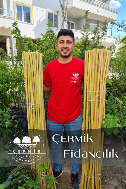 ÇERMİK FİDANCILIK Bambu Fidan Bitki Destek Çubuğu 10 Adet 2 Metre Boy