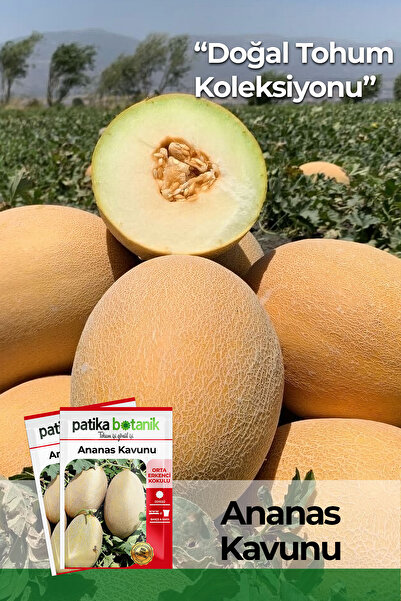 Patika Botanik 100 Adet Ananas Kavun Tohumu