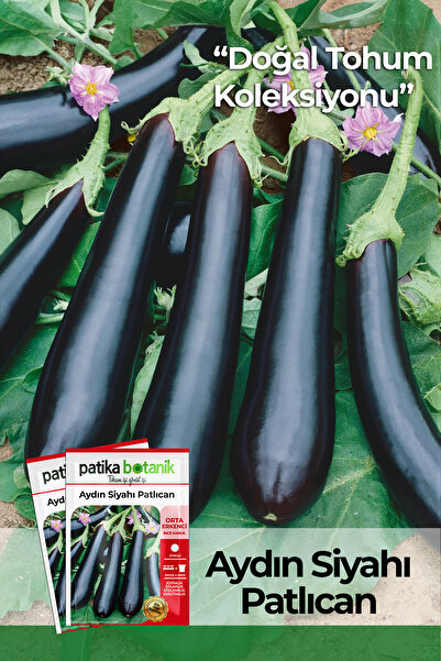 Patika Botanik 200 Adet Aydın Siyahı Patlıcan Tohumu