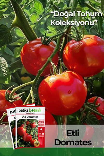 Patika Botanik Etli Domates Tohumu Sofralık Domates Tohumu H-2274