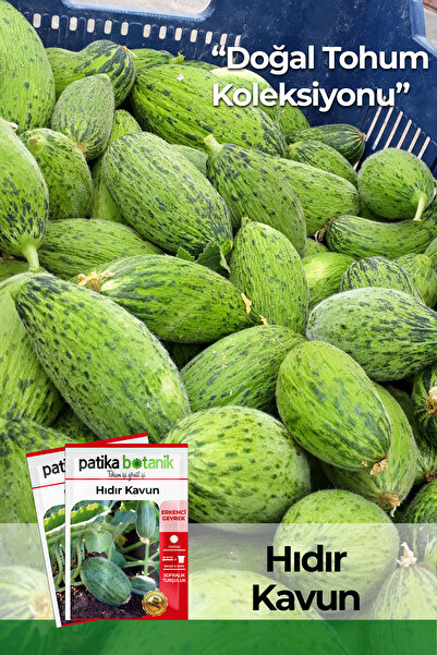Patika Botanik 20 Hıdır Kavun Tohumu