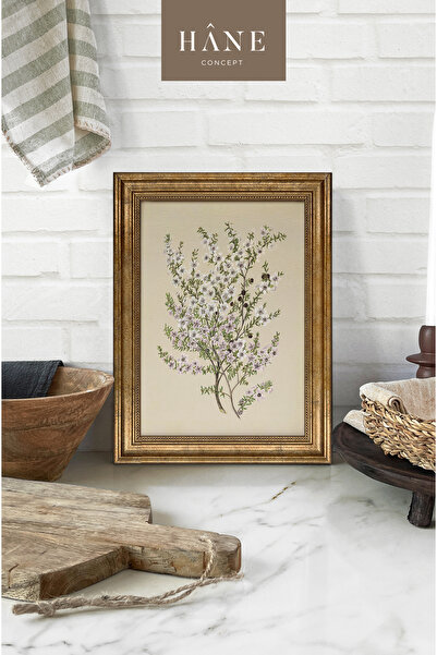 Hane Concept Vintage Botanik Baskılı Çerçeveli Tablo, Galeri Duvarı, Sanatsal...