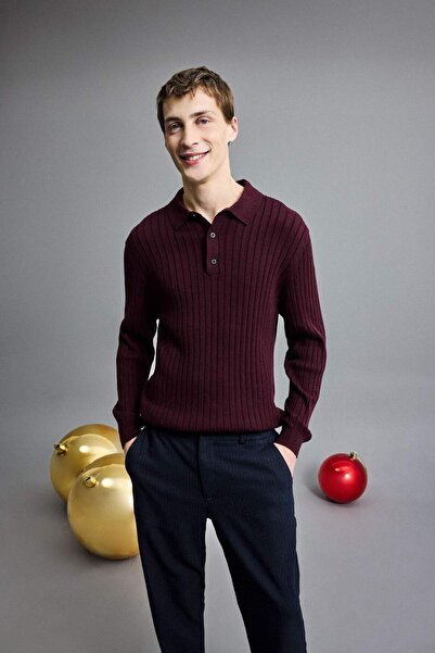 DeFacto Standard-Fit-Strickpullover mit Polokragen E5335AX24WN