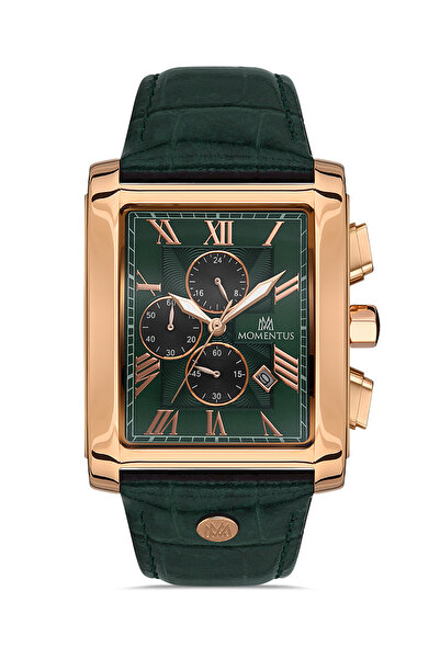 Momentus TimeMaster Collection TM111R-15YR Erkek Kol Saati