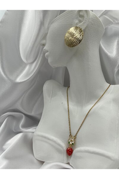 Çelik Çilek Işıltısı Kolye