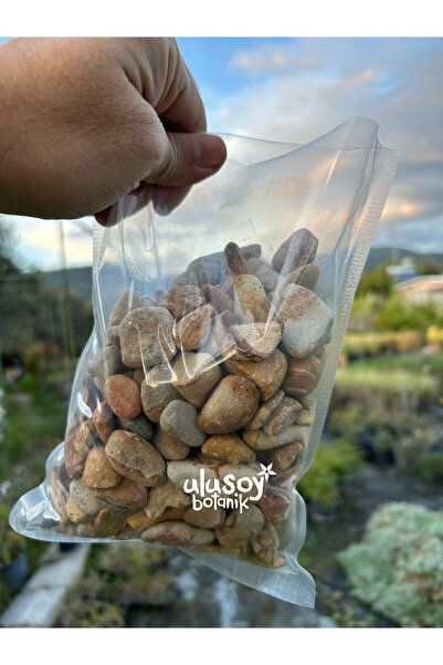 Ulusoy Botanik Sarı Çizgili Dolomit Taş / Sarı Gökkuşağı Dekoratif Dolomit Ta...