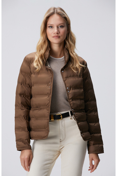 Network Kahverengi Mont