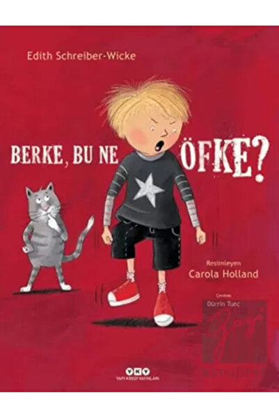 Yapı Kredi Yayınları Berke Bu Ne Öfke?