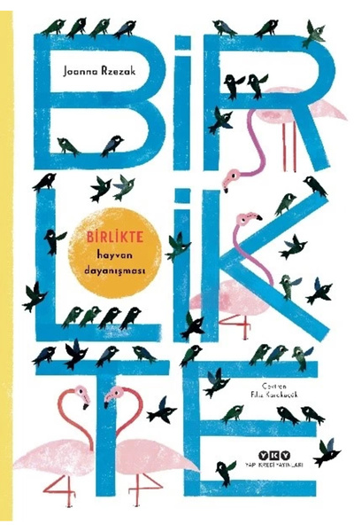 Yapı Kredi Yayınları Birlikte Kitabı Joanna Rzezak Kitapları Debir Yayınları