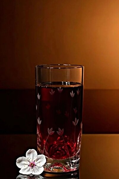 DECOSTYLE Pasabahce Decorated Tulip Holiday Glass Soft Drink 375 Cc Set of 2