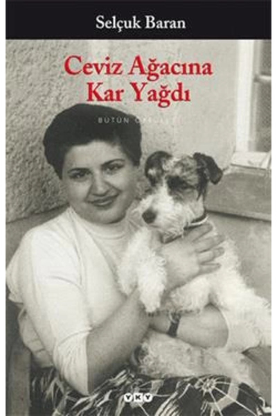 Yapı Kredi Yayınları Ceviz Ağacına Kar Yağdı-selçuk Baran