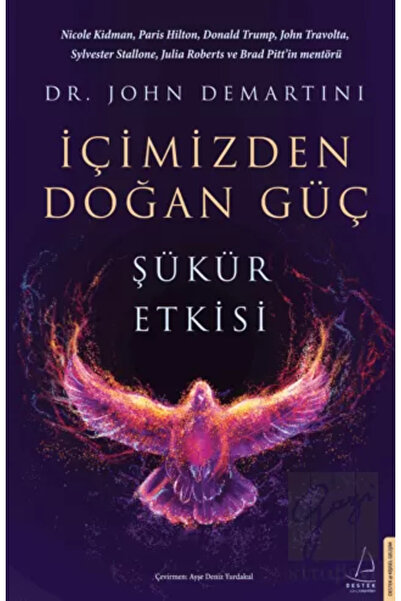 Destek Yayınları İçimizden Doğan Güç / Destek Yayınları / John Demartini