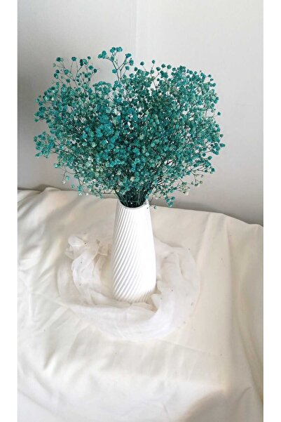 Birlik Cipso Çiçeği Şoklanmış Mavi