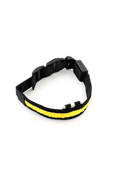 Avex Zgardă iluminată cu LED pentru câine sau pisică, culoare galbenă, AVX-AG232B