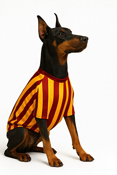 Yumuşak Tüylü Patiler Kedi - Köpek Taraftar Forma Sarı Kırmızı - Büyük Irk