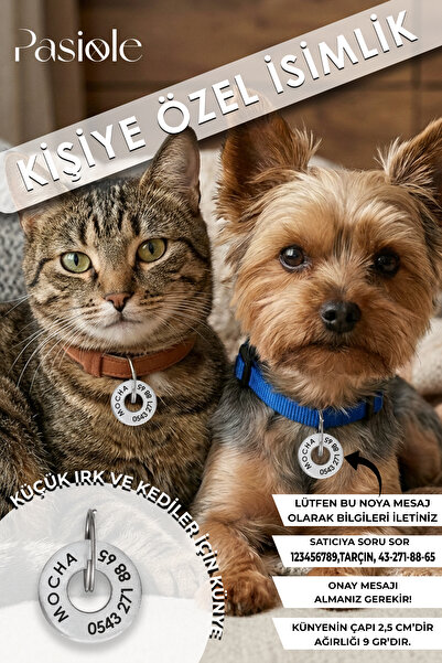 pasiole Çelik Köpek Künyesi, Köpek Isimlik, Köpek Kedi Tasması, Köpek Kedi Ma...