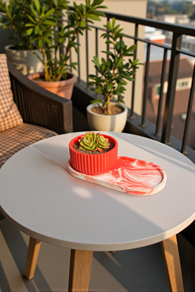 MORF Design Prisma Serisi – Renkli Mini Saksı & Tepsi Dekor Ürünü